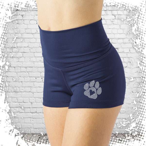 Pittsford Cheer High Waisted Shorts