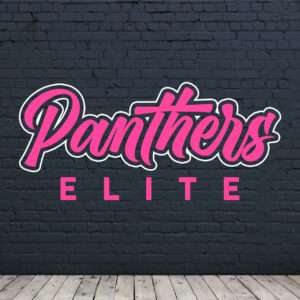Panthers Elite Cheer