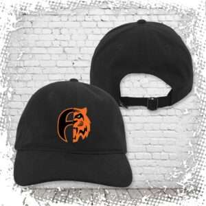 Akron Tigers Snap Baseball Cap